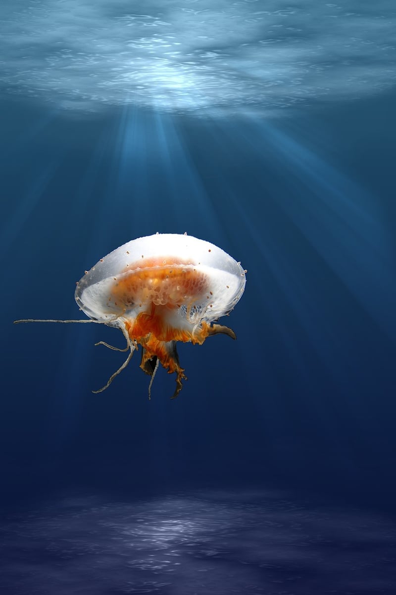Deep-Sea Diving